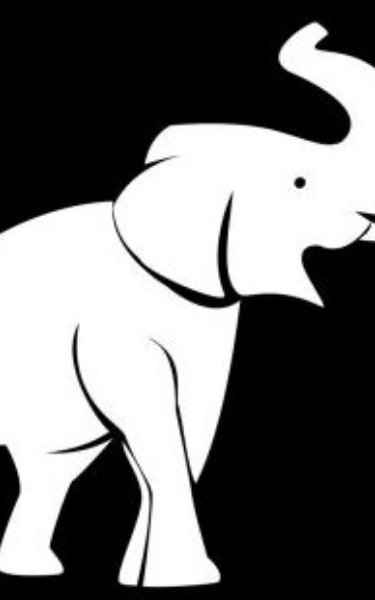 Screenplay Cover Image for For The Love of White Elephants>