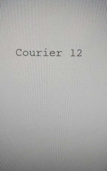 Profile Image for Courier 12