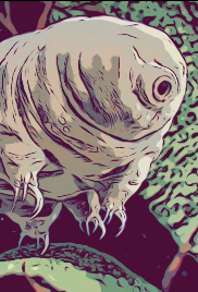 Bugged