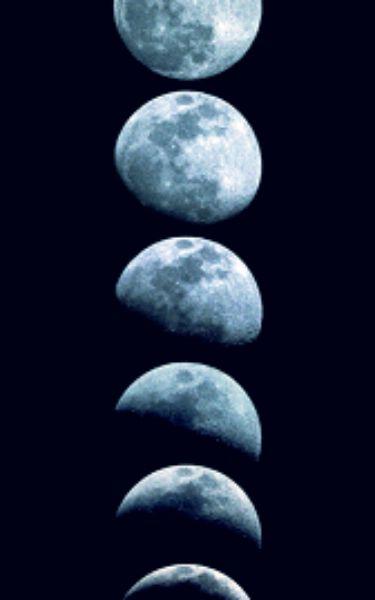 A Cotton Moon