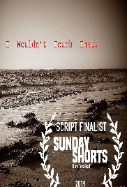 Screenplay Cover Image for I wouldn't touch that>