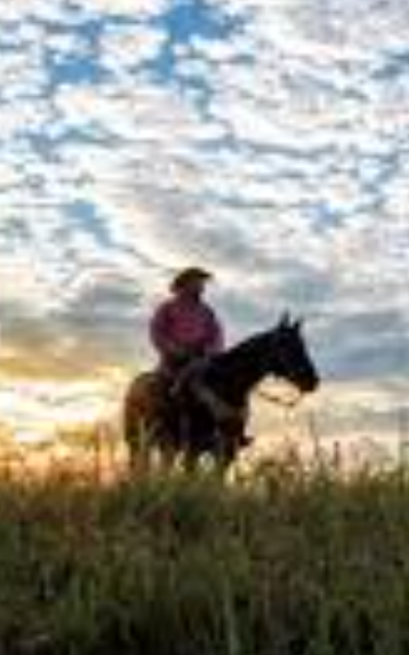 Screenplay Cover Image for Three Flags over Santa Gertrudis>