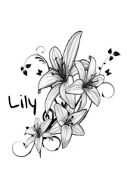 Cover Image for Lily