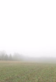 Profile Image for Fog