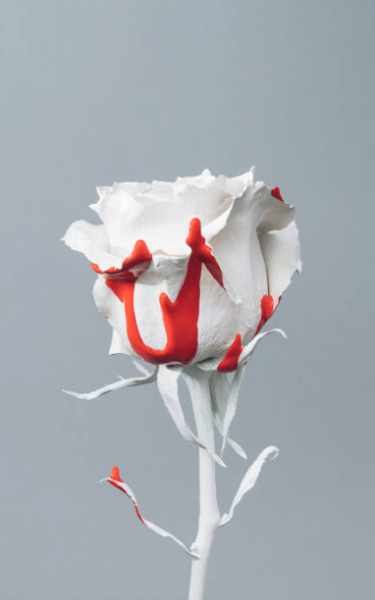 Screenplay Cover Image for Be My End (Nicholl QF)>