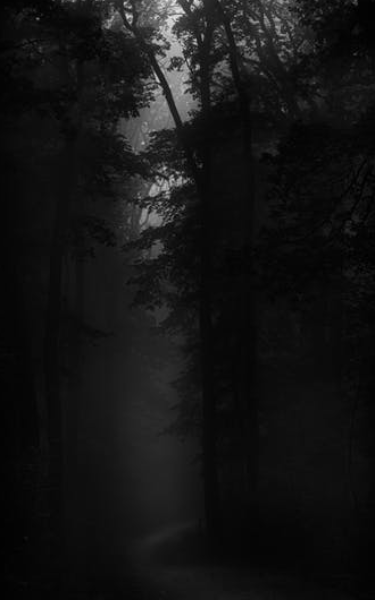 TREES