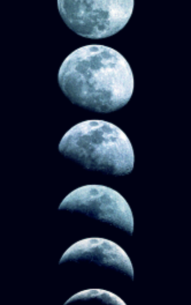 A Cotton Moon