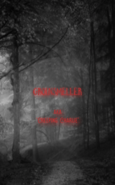 Screenplay Cover Image for Groinsmeller>