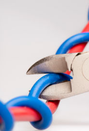 Profile Image for Cut theBlue Wire